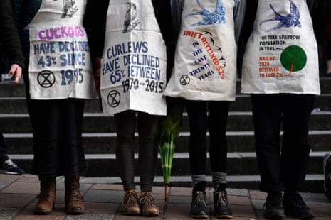Four climate activists wear aprons bearing facts about the decline in the number of birds