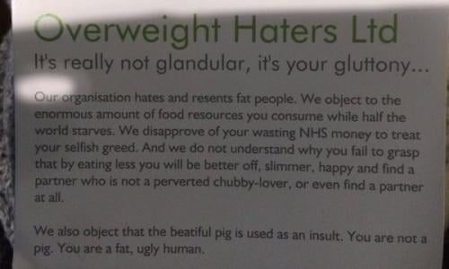 Why Is Skinny Shaming Ok If Fat Shaming Is Not Women The Guardian