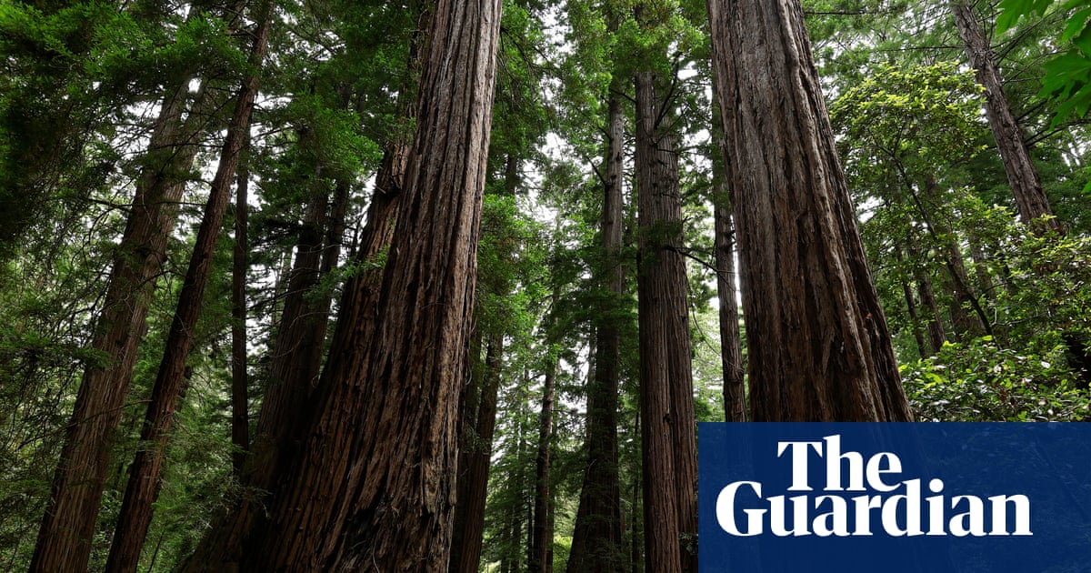 Trump's move to sanitize US history gets little support with national park visitors