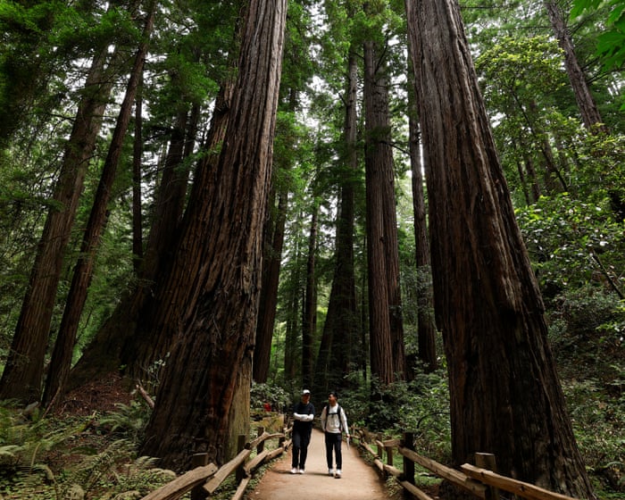 Trump’s move to sanitize US history gets little support with national park visitors
