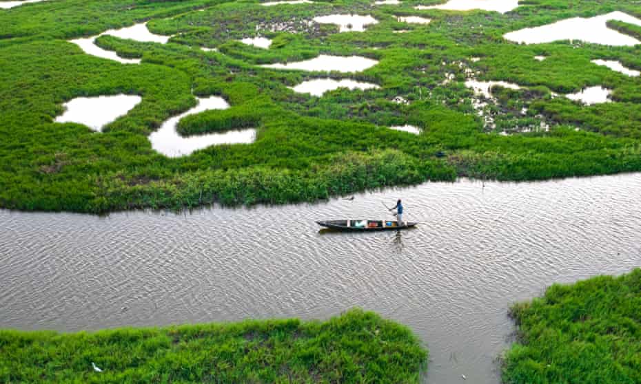 A fisher in a canoe in a wetland area of Ghana.