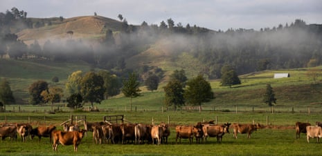 Dawn breaks over the farmland near Whangamatā in the Coromandel Peninsula, New Zealand. An expansion of goldmining activity is planned for the ranges behind the town.