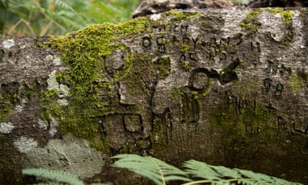 From War To Witch Marks Graffiti Carved Into New Forest Trees Reveals Past Lives Trees And Forests The Guardian