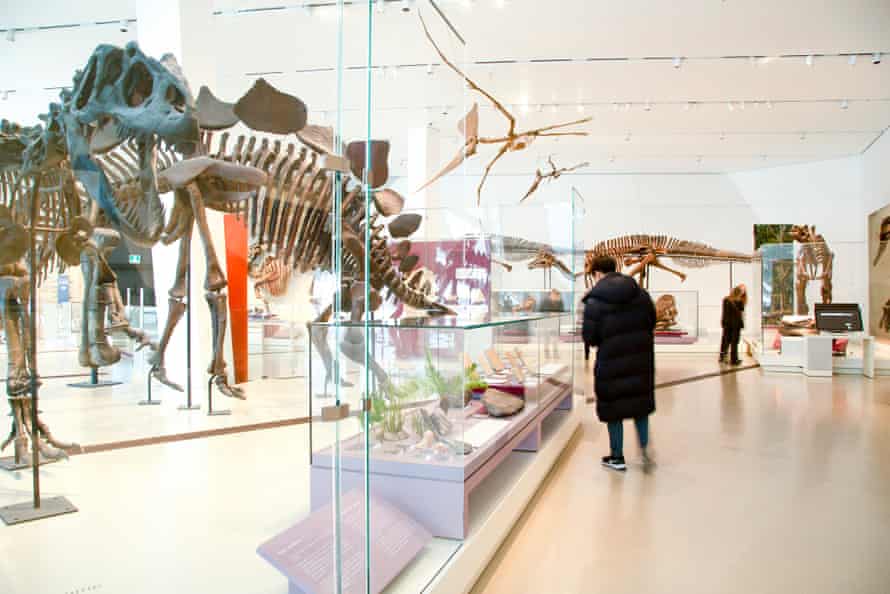 ROM Age Of Dinosaurs gallery