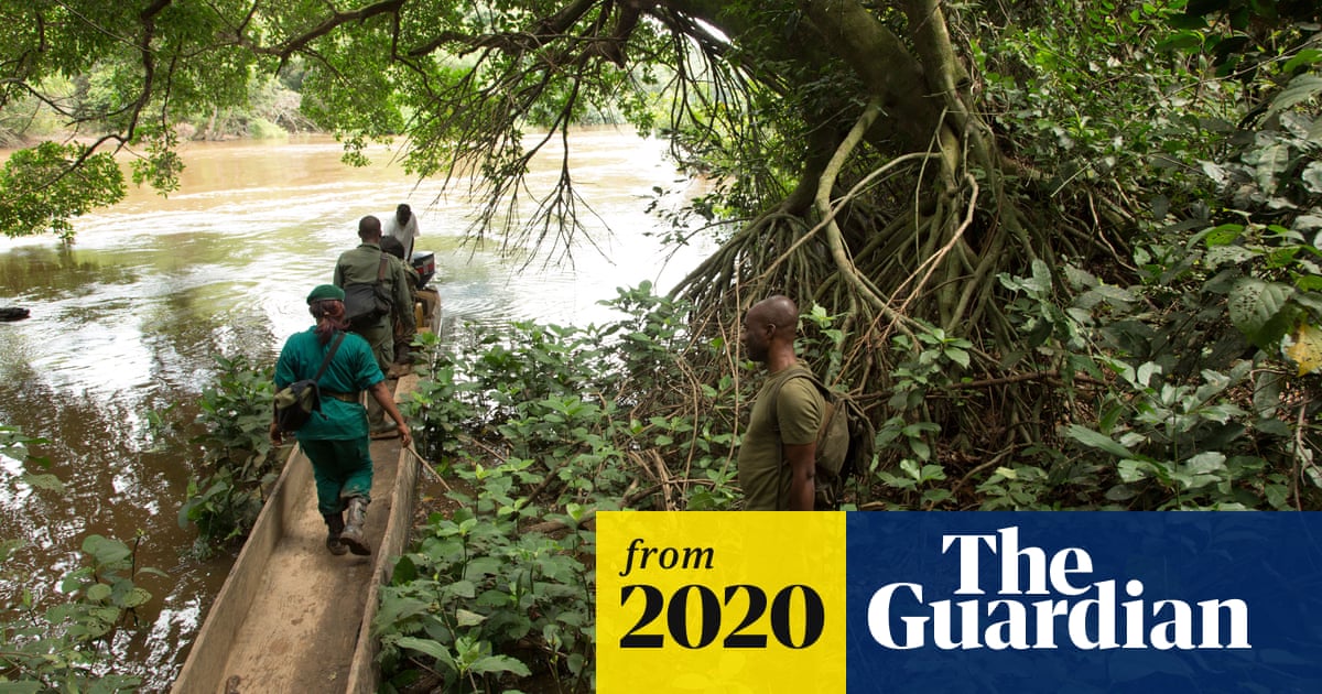 Armed ecoguards funded by WWF 'beat up Congo tribespeople' | Conservation a Armed ecoguards funded by WWF 'beat up Congo tribespeople' | Conservation a