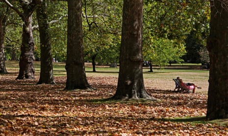 Leaves in St James’s park, London.