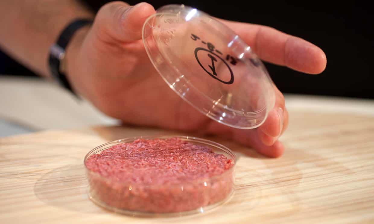 animal-free meat