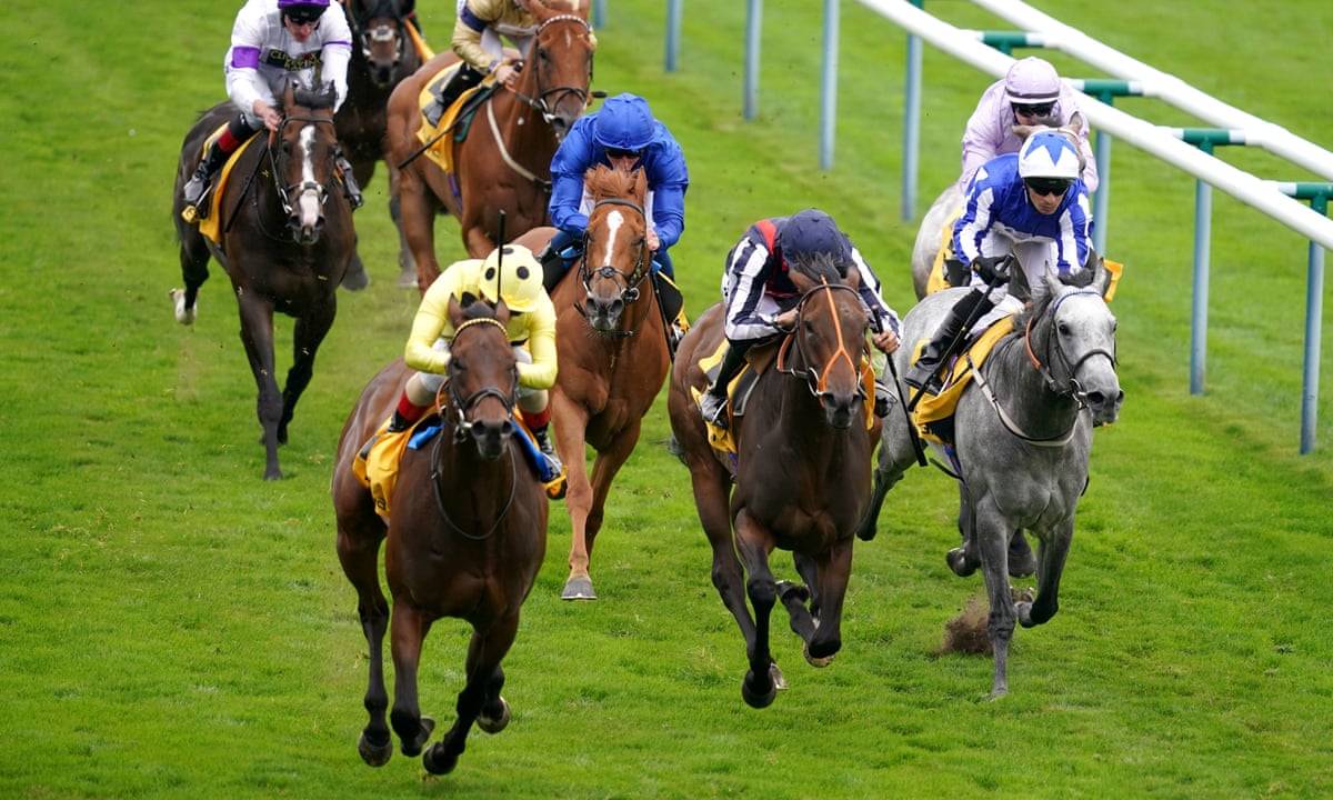 Tcwdg39zpebspm Breeders Cup Past Performances 2022