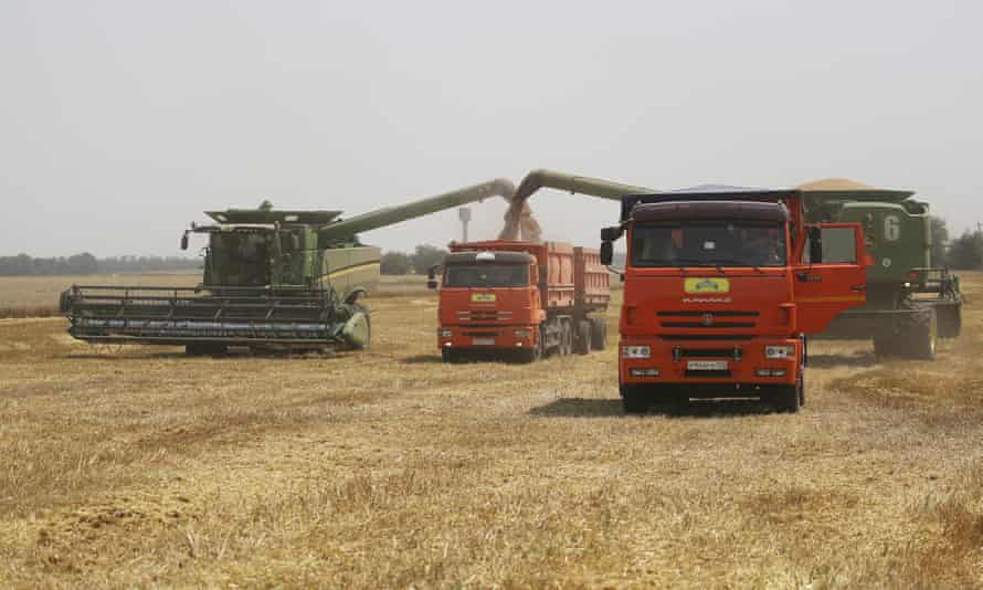 Farmers harvest wheat in Ukraine last year.