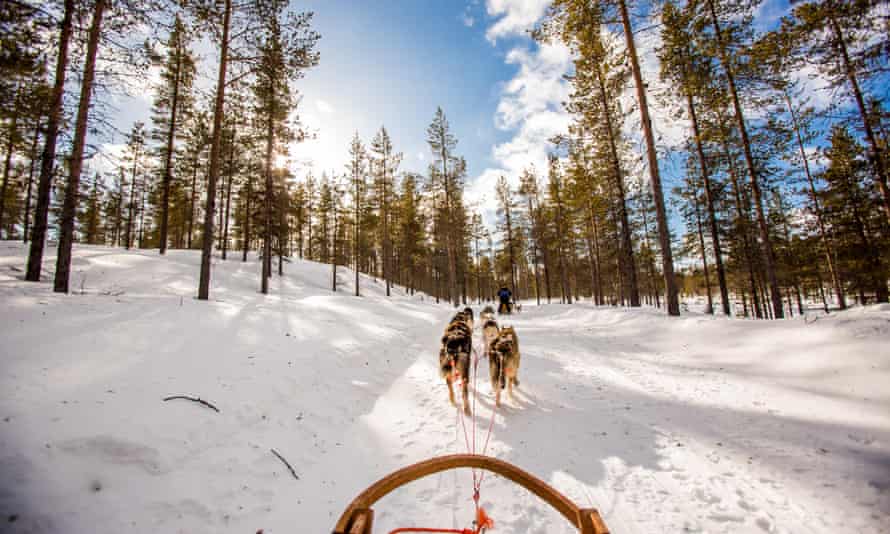 Dogsledding near Saariselka, Finland.