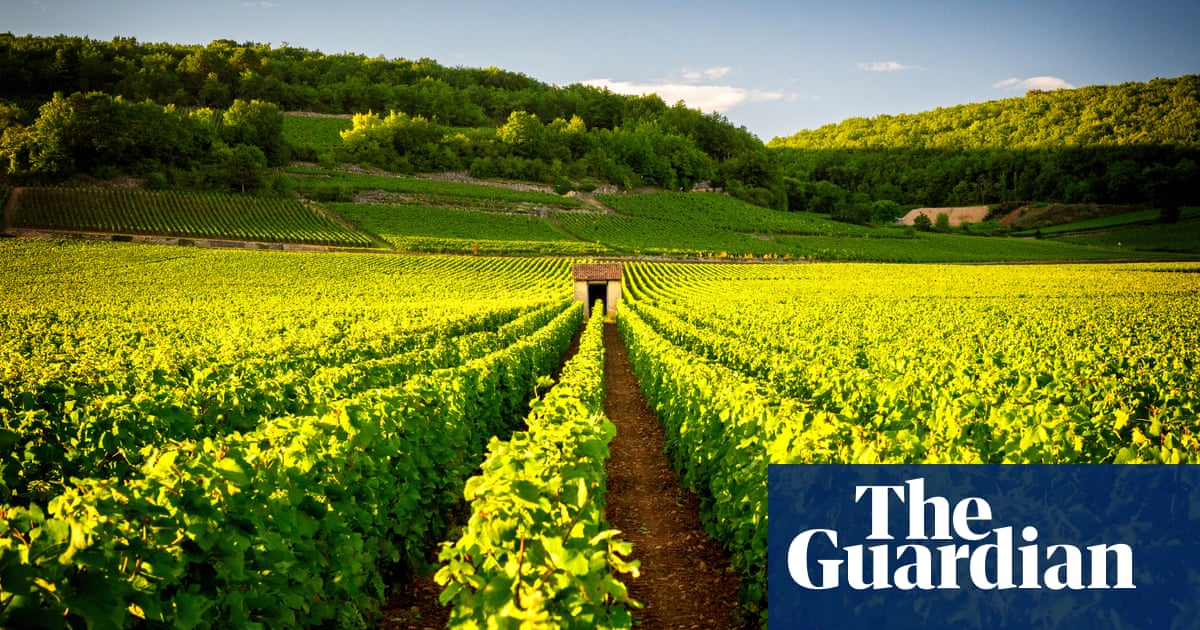 Put down that chardonnay: try an aligote instead