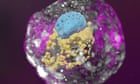 ‘Complete’ models of human embryos created from stem cells in lab