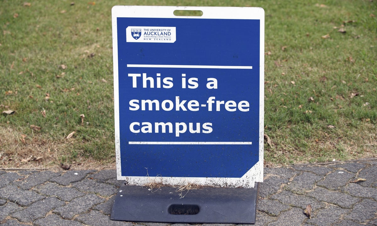 can dogs have tobacco What to Do if Your Dog Eats a Cigarette Butt – American Kennel Club can dogs have tobacco What to Do if Your Dog Eats a Cigarette Butt – American Kennel Club