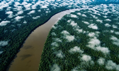 RIVER - film still - for press use only - Région Amazonas : Fleuve Orénoque et forêt amazonienne près de La Esmeralda