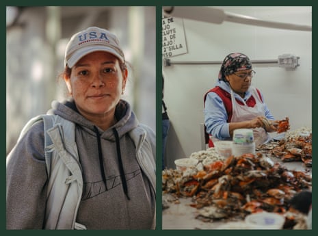 Clara Ramirez, poses for a photo during her lunch break, left. A seasonal labor at G.W. Hall Seafood, picks meat from crabs during a shift.