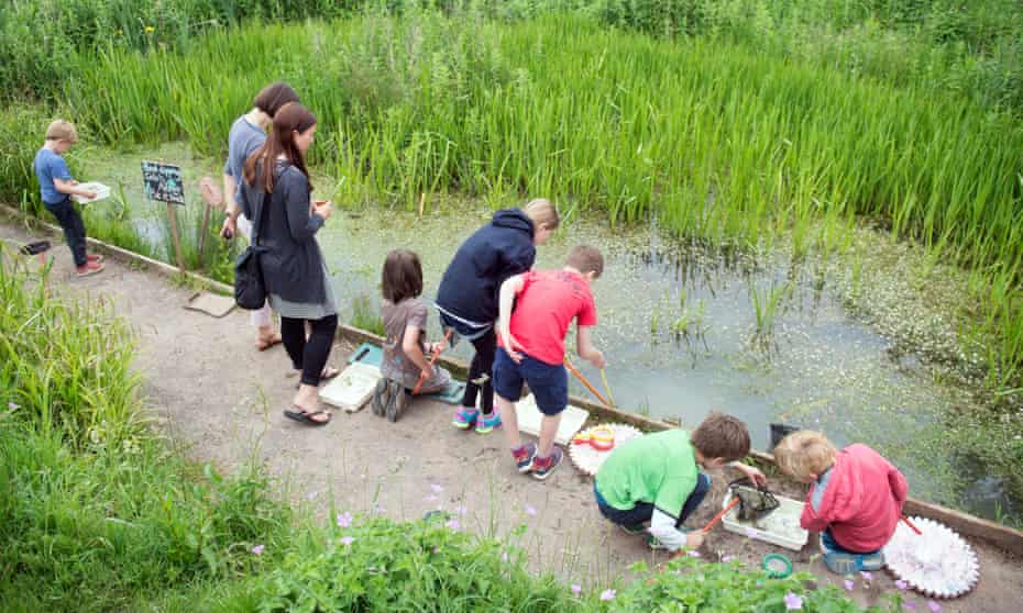 Children pond dipping at the Golden Hill community garden in Bristol.