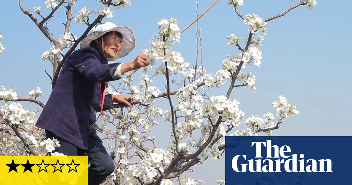 Earth: Muted review – bees go missing in China despatch from the eco-apocalypse file