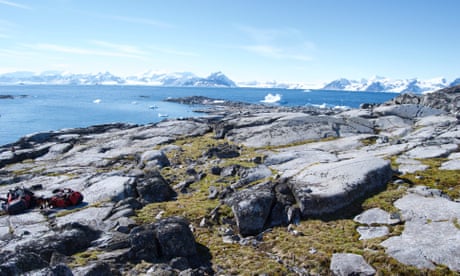 Rocks covered in Antarctic hairgrass (Deschampsia antarctica) on Anchorage Island, Antarctica, with the sea in the distance