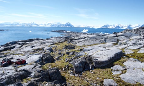 Rocas cubiertas de pasto antártico (Deschampsia antarctica) en la isla de Anchorage, en la Antártida, con el mar a lo lejos