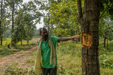 Jainandan Porte next to a tree that has been marked to be cut down in Hasdeo Arand forest.