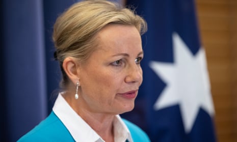 The deputy Liberal leader, Sussan Ley