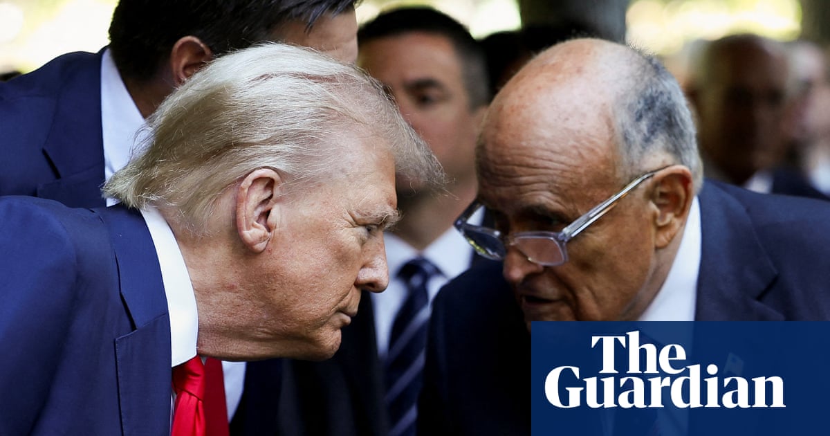 Trump may have inadvertently issued mass pardon for 2020 voter fraud, experts say