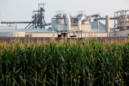 White-painted industrial building beyond a cornfield.