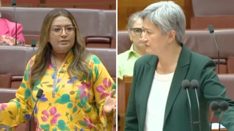  'Call for a ceasefire now': Mehreen Faruqi and Penny Wong in heated debate over Gaza - video