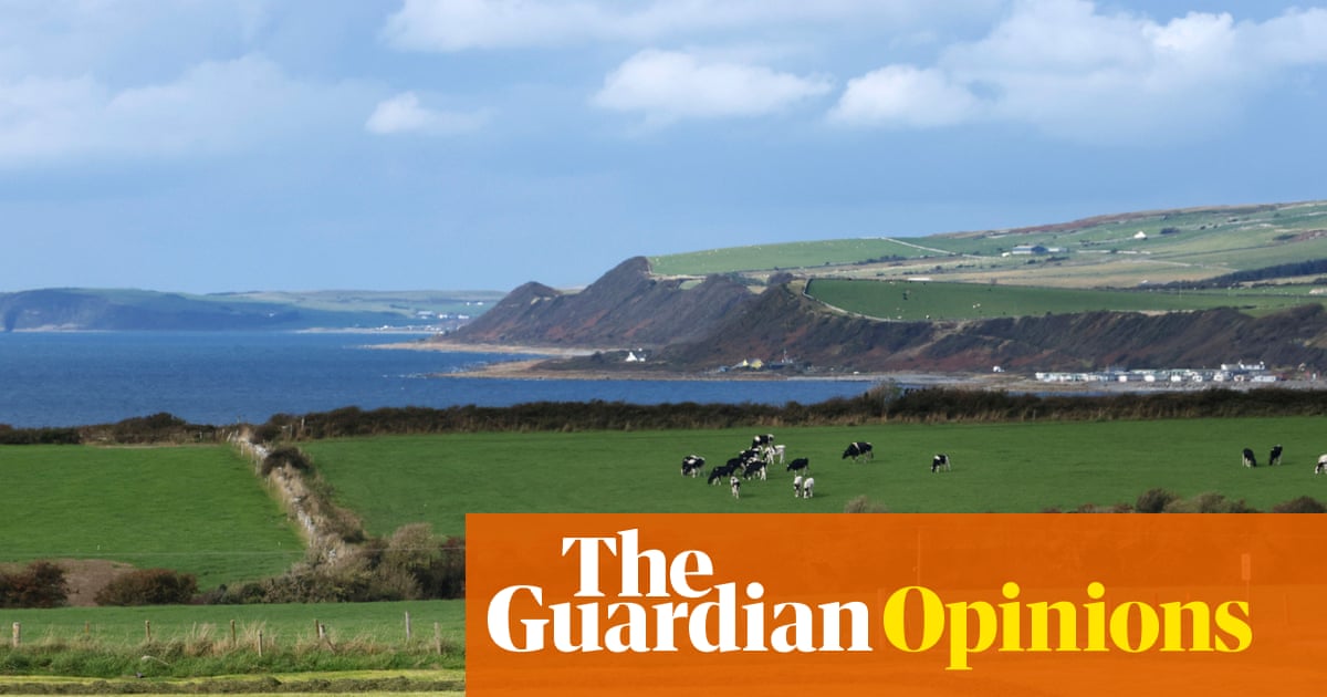 Why am I called The Black Farmer? Because there are so few of us in Britain. I’d like that to change | Wilfred Emmanuel-Jones
