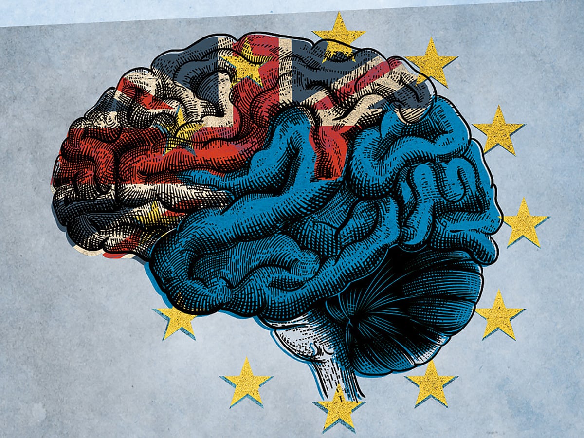 Brain Of A Conservative Republican