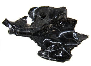 Превращенные в стекло фрагменты мозга