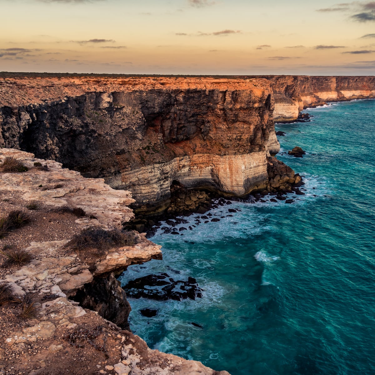 From The Nullarbor To The Nuclear Age What Fossils Reveal About South Australia S Past Science The Guardian