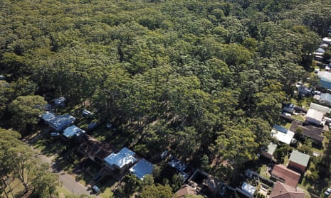An aerial view of the unburnt area of bushland which was set to be cleared this week for a new housing development in Manyana on the South Coast of New South Wales.