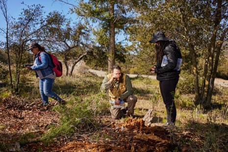 Three people foraging for mushrooms