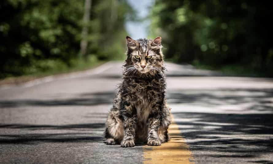 A zombie cat in Pet Sematary.