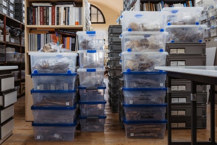 Plastic boxes filled with human bones and remains stacked up in an office