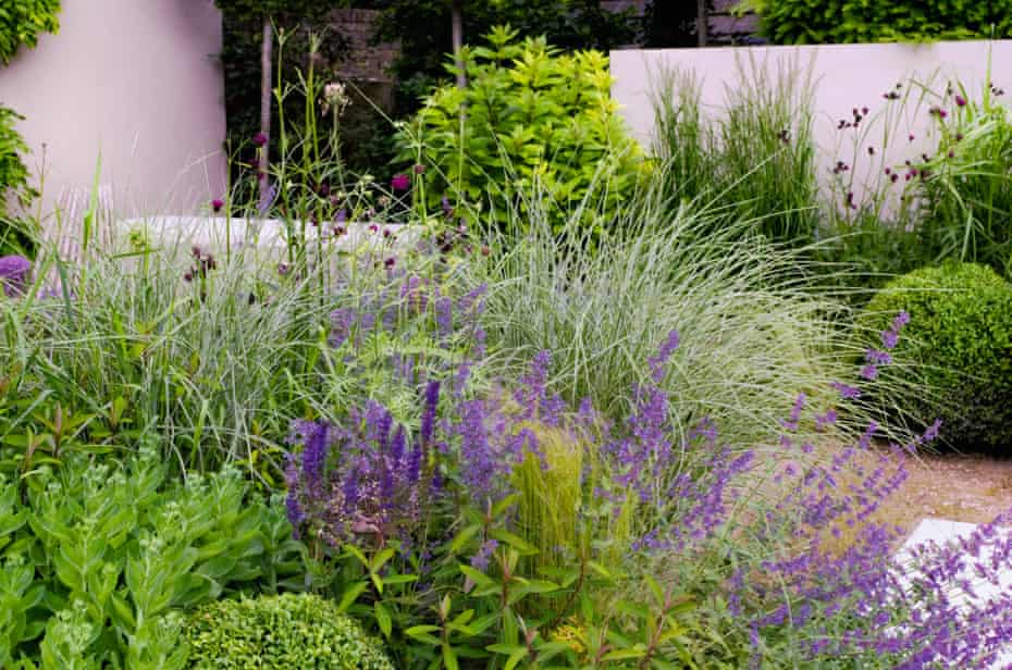 Diy Urban Gardening Hacks For Small Spaces Gardens The Guardian