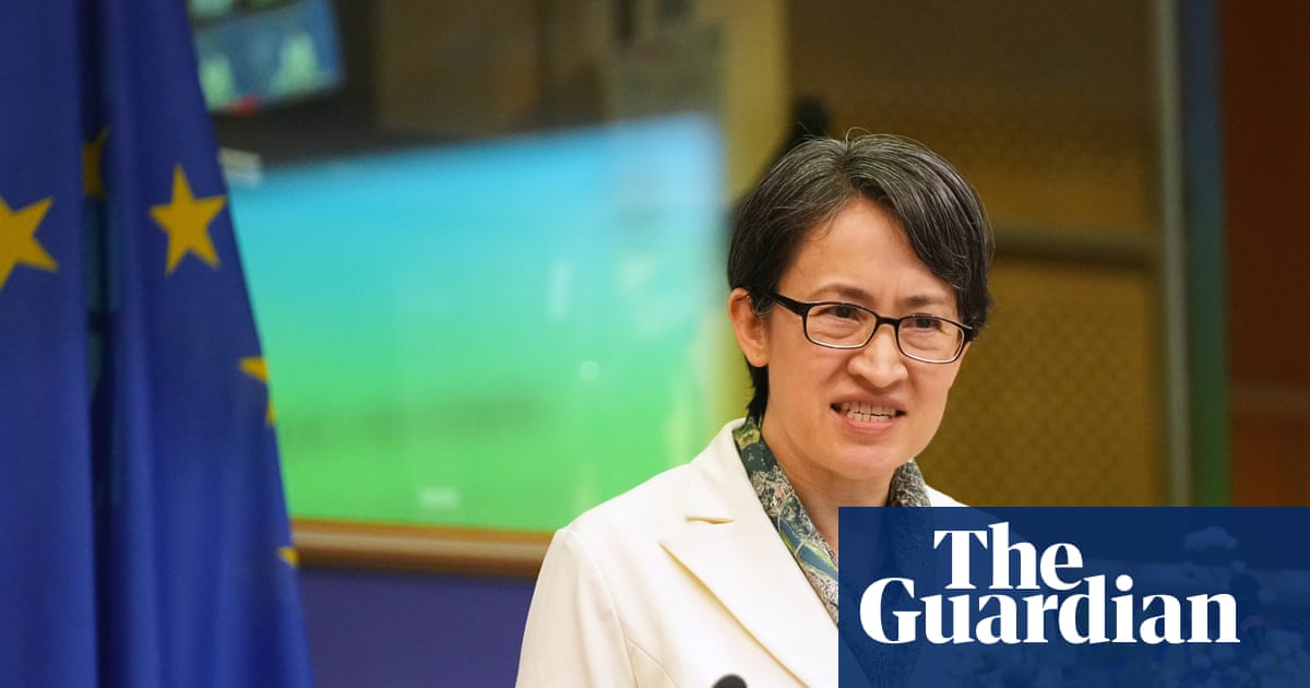 Taiwan vice-president presses case at EU parliament for joint efforts to counter China