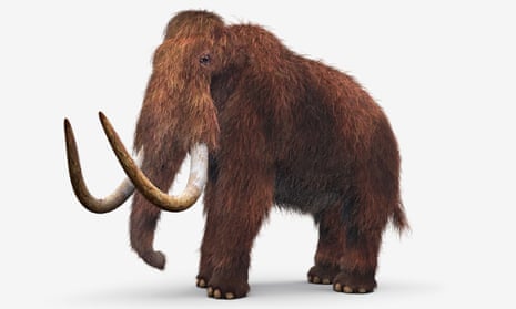 Model of woolly mammoth