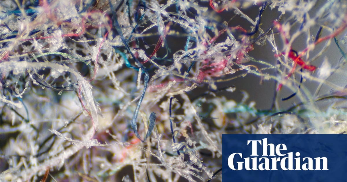 ‘You have to be where the pollution is’: the inventor hoping to fix your washing machine to stop microplastics