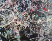 House dust magnified under a microscope showing tangled fibres and strands
