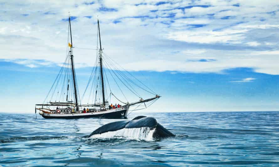 The Opal sailboat operated by North Sailing, Icealand