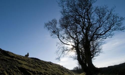 Housman Country Into The Heart Of England By Peter Parker Review The Inverse Of Roast Beef Heartiness Books The Guardian