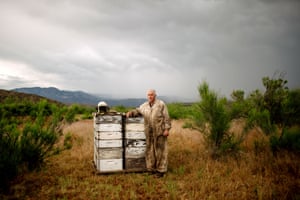 Beekeeper Dennis Arp and a colony of honeybees