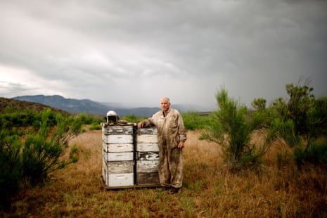 Beekeper Dennis Arp stands for a portrait near a colony of honey bees outside Rye, Arizona.