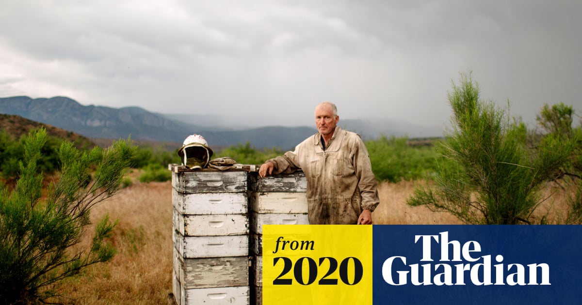 www.theguardian.com