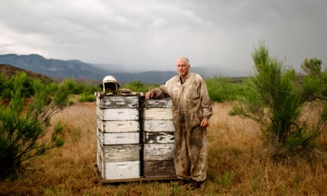 Beekeper Dennis Arp stands for a portrait near a colony of honey bees outside Rye, Arizona on May 8, 2019.