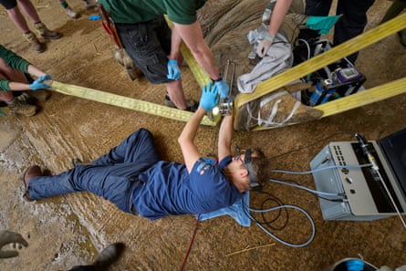 Veterinary dentist Chris Pearce check’s Sizzle’s teeth using specialist equipment