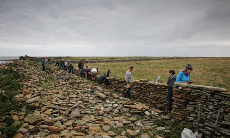Drystone walling is a big part of the North Ronaldsay Sheep Festival.