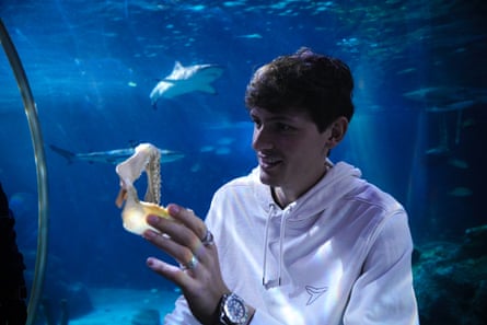 Maximilian Baum with a blacktip reef shark jaw at the aquarium